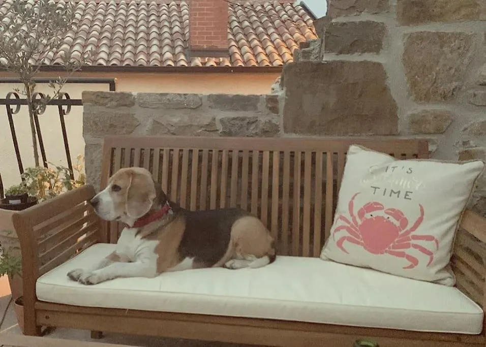 Vista Lago, Perfect Hideaway Sculci Croatia